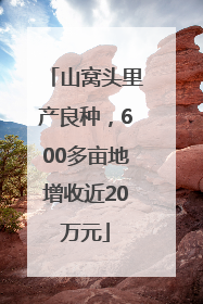 山窝头里产良种，600多亩地增收近20万元