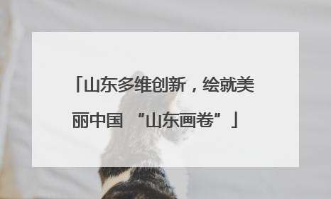 山东多维创新，绘就美丽中国 “山东画卷”