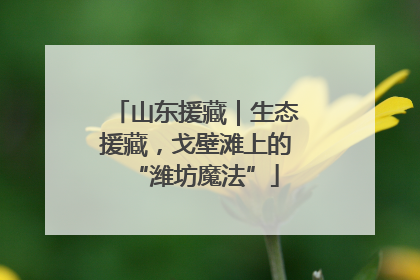 山东援藏｜生态援藏，戈壁滩上的“潍坊魔法”