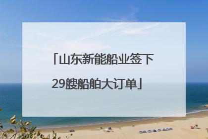 山东新能船业签下29艘船舶大订单