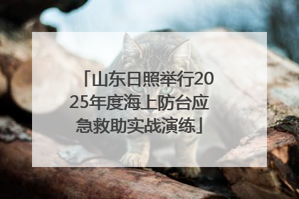 山东日照举行2025年度海上防台应急救助实战演练