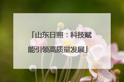 山东日照：科技赋能引领高质量发展