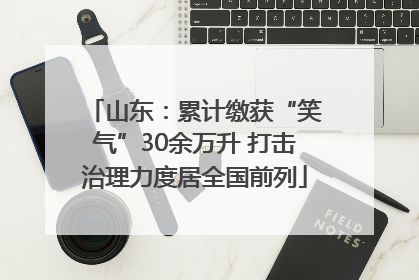 山东：累计缴获“笑气”30余万升 打击治理力度居全国前列
