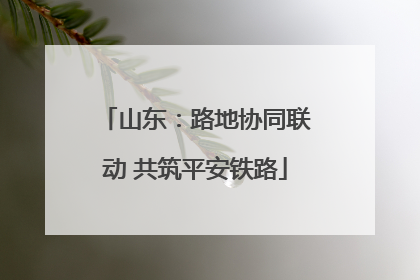 山东：路地协同联动 共筑平安铁路