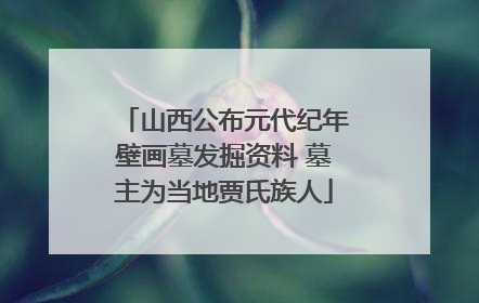 山西公布元代纪年壁画墓发掘资料 墓主为当地贾氏族人