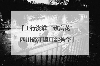 工行浇灌“致富花” 四川通江银耳绽芳华