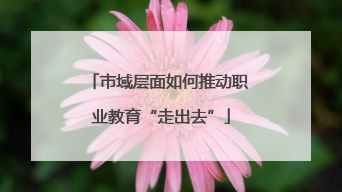 市域层面如何推动职业教育“走出去”