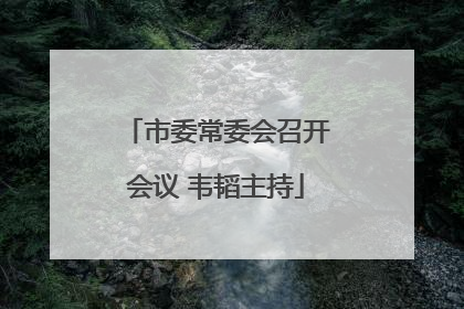市委常委会召开会议 韦韬主持
