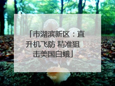 市湖滨新区：直升机飞防 精准狙击美国白蛾
