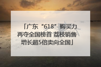 广东“618”购买力再夺全国榜首 荔枝销售增长超5倍卖向全国