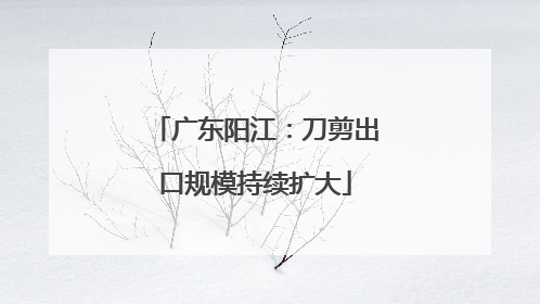 广东阳江：刀剪出口规模持续扩大