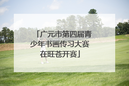 广元市第四届青少年书画传习大赛在旺苍开赛
