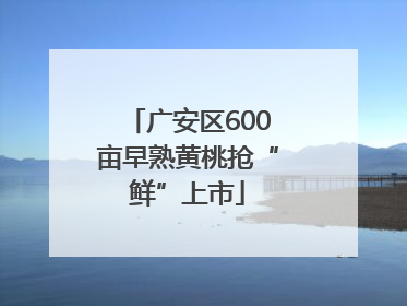 广安区600亩早熟黄桃抢“鲜”上市