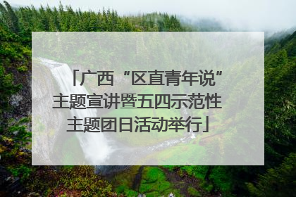 广西“区直青年说”主题宣讲暨五四示范性主题团日活动举行