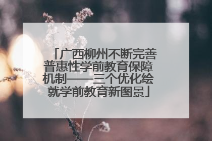 广西柳州不断完善普惠性学前教育保障机制——三个优化绘就学前教育新图景