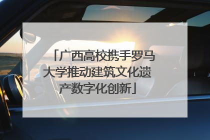 广西高校携手罗马大学推动建筑文化遗产数字化创新