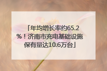 年均增长率约65.2%！济南市充电基础设施保有量达10.6万台