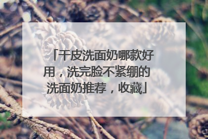 干皮洗面奶哪款好用，洗完脸不紧绷的洗面奶推荐，收藏