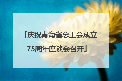 庆祝青海省总工会成立75周年座谈会召开