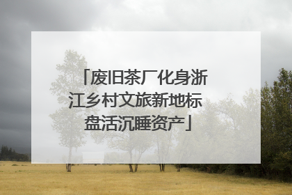 废旧茶厂化身浙江乡村文旅新地标 盘活沉睡资产