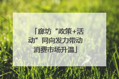 廊坊“政策+活动”同向发力带动消费市场升温
