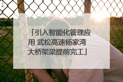 引入智能化管理应用 武松高速杨家湾大桥架梁提前完工