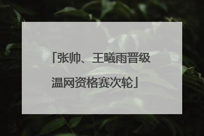 张帅、王曦雨晋级温网资格赛次轮