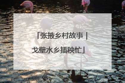 张掖乡村故事｜戈壁水乡插秧忙