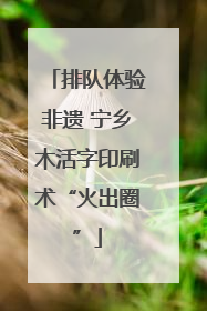 排队体验非遗 宁乡木活字印刷术“火出圈”