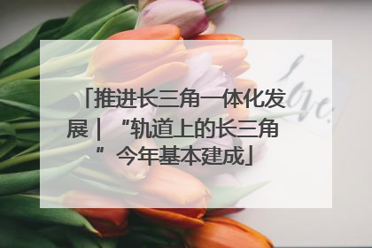 推进长三角一体化发展｜“轨道上的长三角”今年基本建成