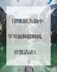 恩阳区九镇小学开展师德师风宣誓活动