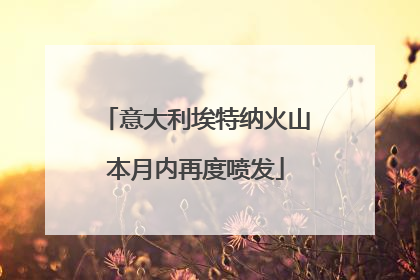 意大利埃特纳火山本月内再度喷发