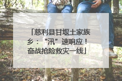 慈利县甘堰土家族乡：“汛”速响应！奋战抢险救灾一线
