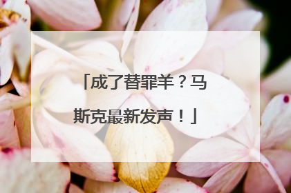 成了替罪羊？马斯克最新发声！