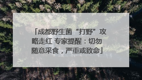 成都野生菌“打野”攻略走红 专家提醒：切勿随意采食，严重或致命