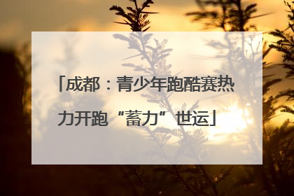 成都：青少年跑酷赛热力开跑“蓄力”世运