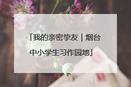 我的亲密挚友｜烟台中小学生习作园地