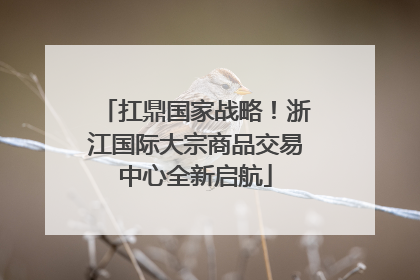 扛鼎国家战略！浙江国际大宗商品交易中心全新启航