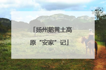 扬州鹅黄土高原“安家”记