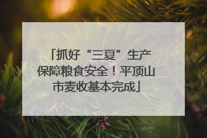 抓好“三夏”生产 保障粮食安全！平顶山市麦收基本完成