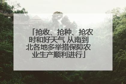 抢收、抢种、抢农时和好天气 从南到北各地多举措保障农业生产顺利进行