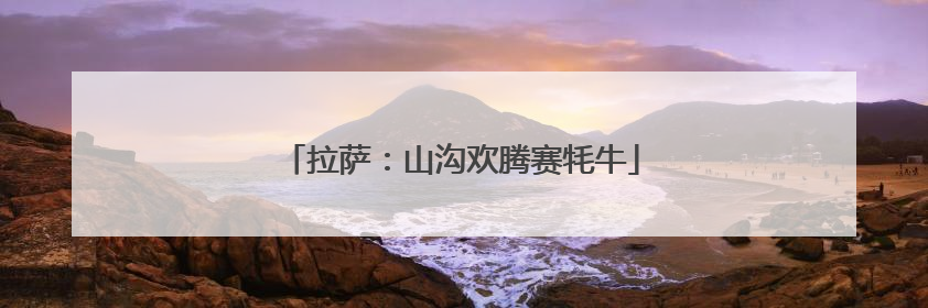 拉萨：山沟欢腾赛牦牛