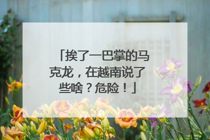 挨了一巴掌的马克龙，在越南说了些啥？危险！