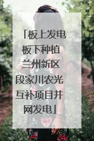 板上发电 板下种植 兰州新区段家川农光互补项目并网发电