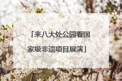 来八大处公园看国家级非遗项目展演