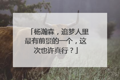 杨瀚森，追梦人里最有前景的一个，这次也许真行？