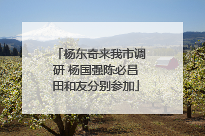 杨东奇来我市调研 杨国强陈必昌田和友分别参加