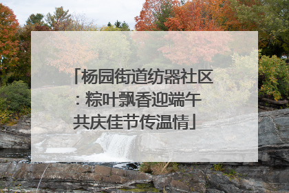 杨园街道纺器社区：粽叶飘香迎端午 共庆佳节传温情