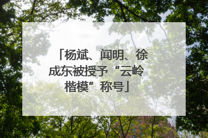 杨斌、闻明、徐成东被授予“云岭楷模”称号