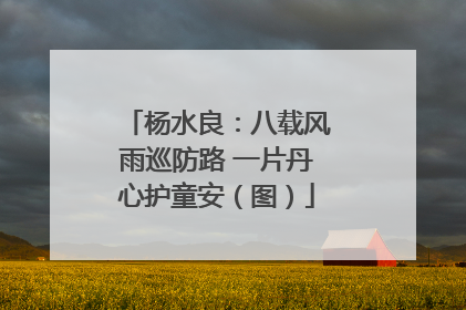 杨水良：八载风雨巡防路 一片丹心护童安（图）